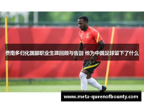 费南多归化国脚职业生涯回顾与告别 他为中国足球留下了什么