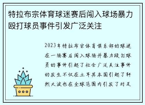 特拉布宗体育球迷赛后闯入球场暴力殴打球员事件引发广泛关注 特拉布宗体育球迷赛后闯入球场暴力殴打球员事件引发广泛关注